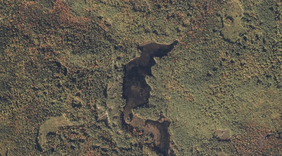 Patte Brook Waterfowl Impoundment Reservoir