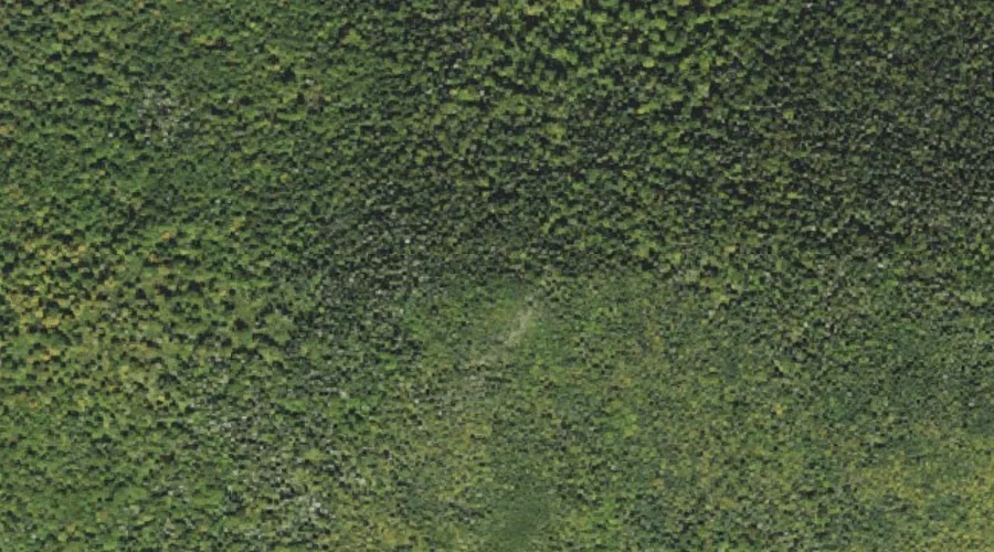 Mount Joseph Whipple