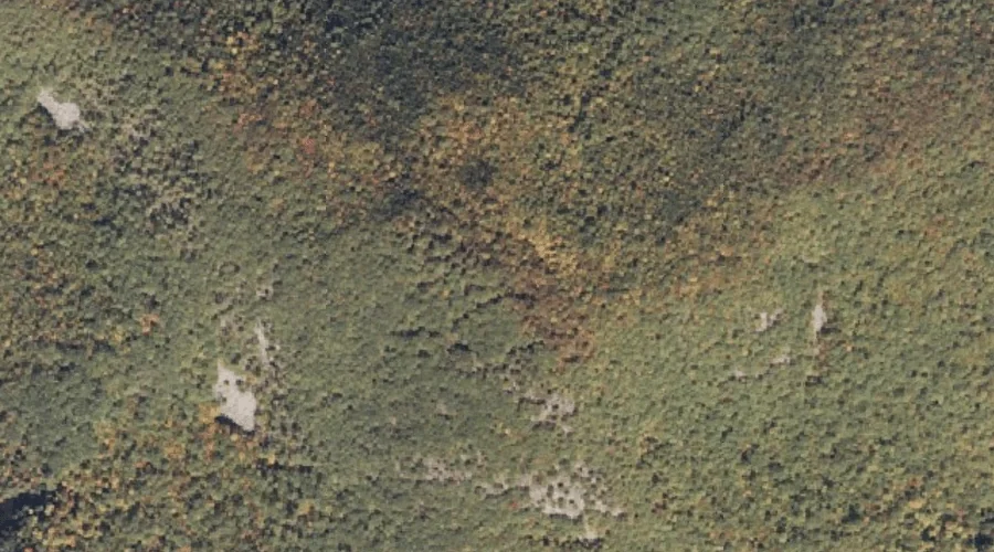 Burnt Meadow Mountains