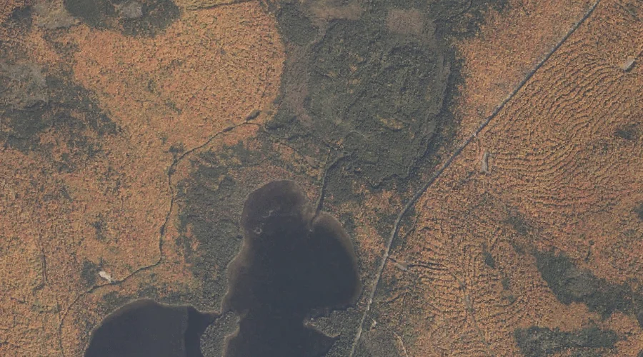 Deer Mountain Stream