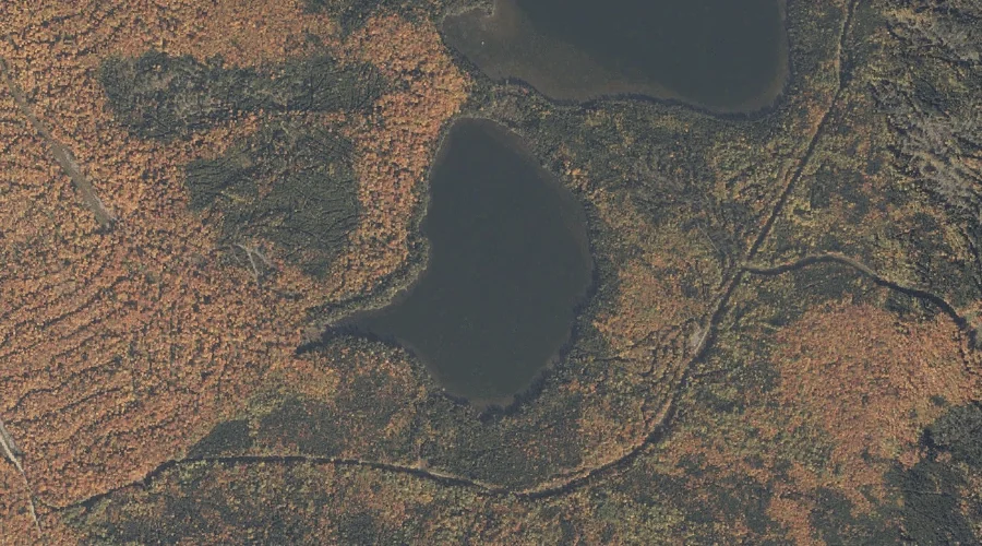 East Richardson Ponds