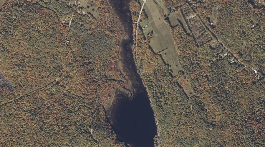 Hicks Pond