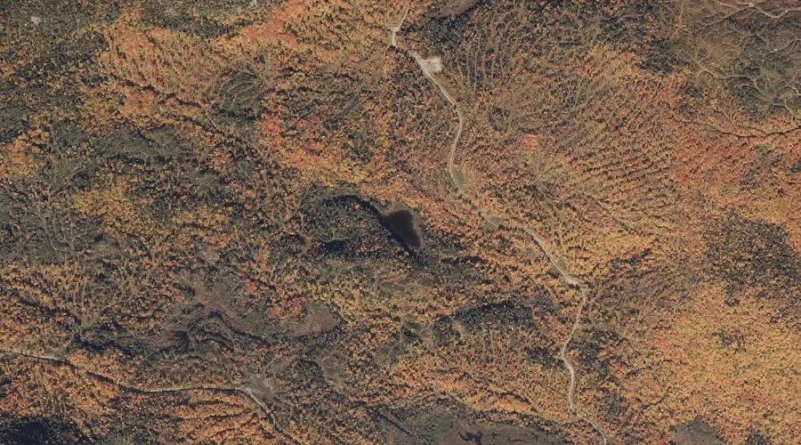 Little Saddleback Pond