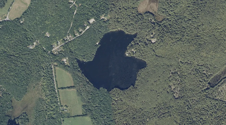 Loon Pond