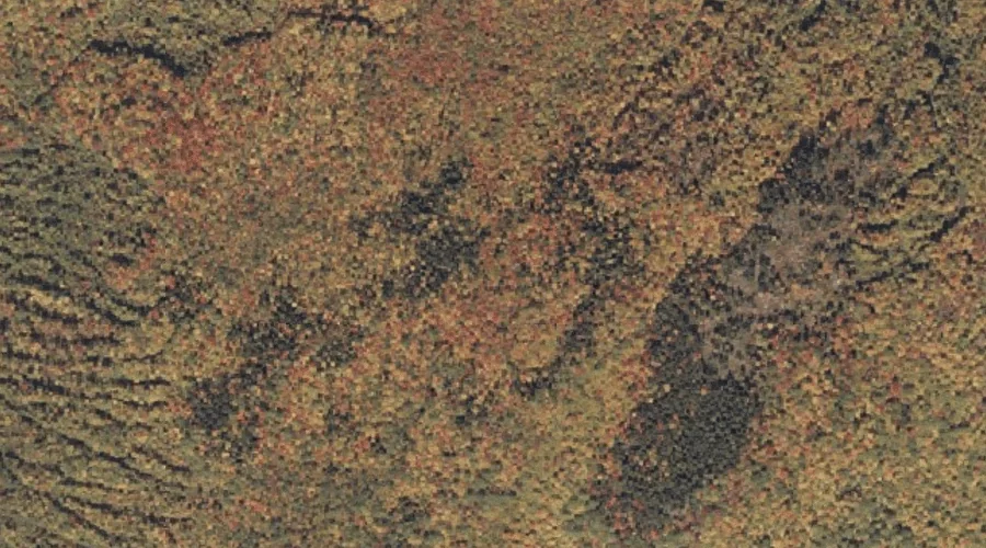 Mollyockett Mountain