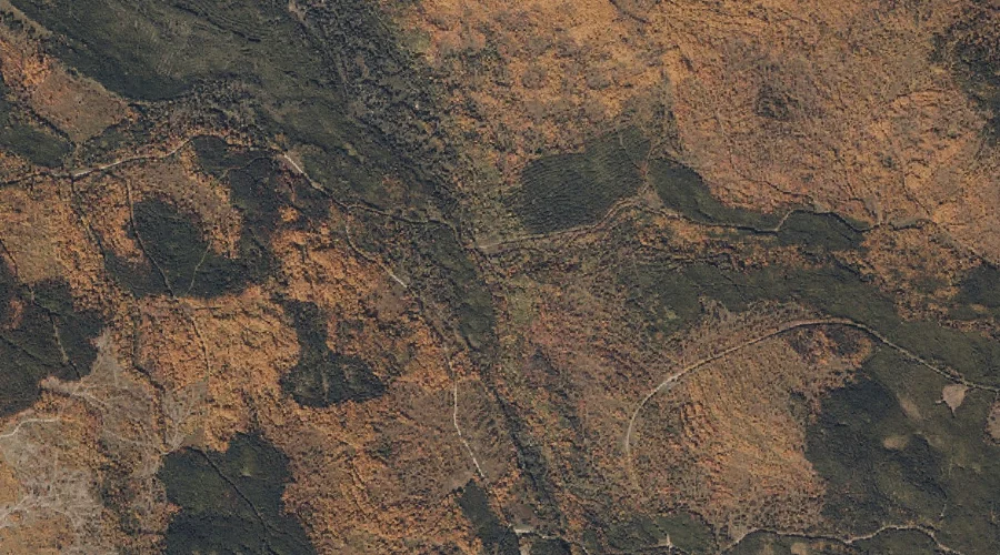 Mountain Pond Stream