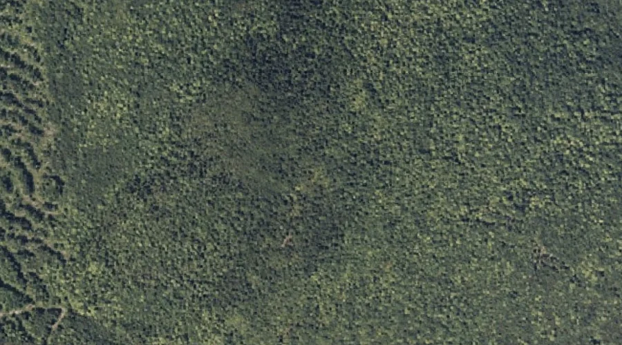 New Vineyard Mountains