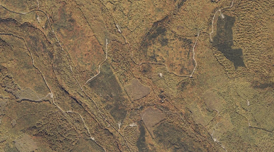 West Fork Beaver Brook