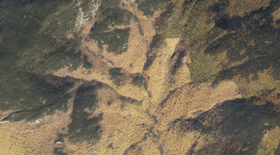 Middle Branch Mad River