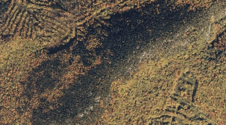 Pickett Henry Mountain