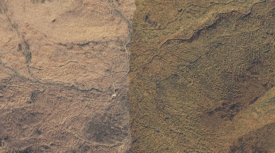 South Branch Sunday River