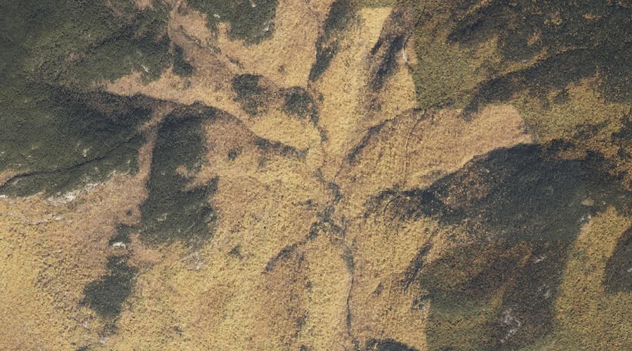 South Branch Mad River