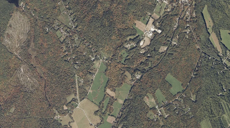 Middle Branch Bog Brook