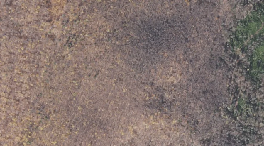 Chickwolnepy Mountain