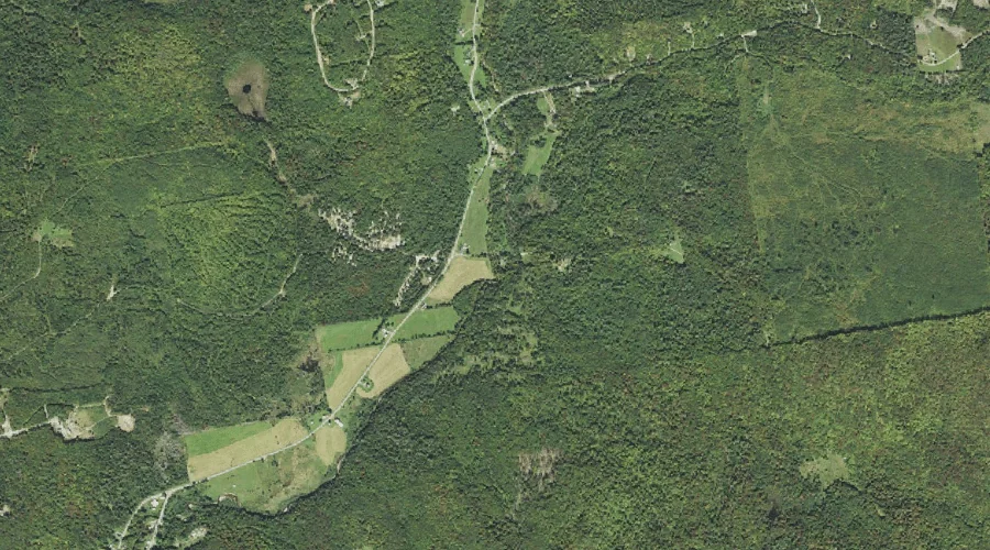 East Branch Bog Brook