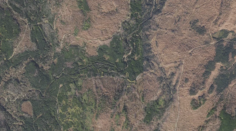 East Branch Dead Diamond River