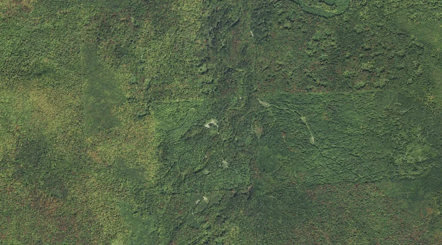 East Branch Mill Brook