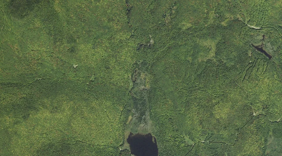 East Branch Stratford Bog Brook