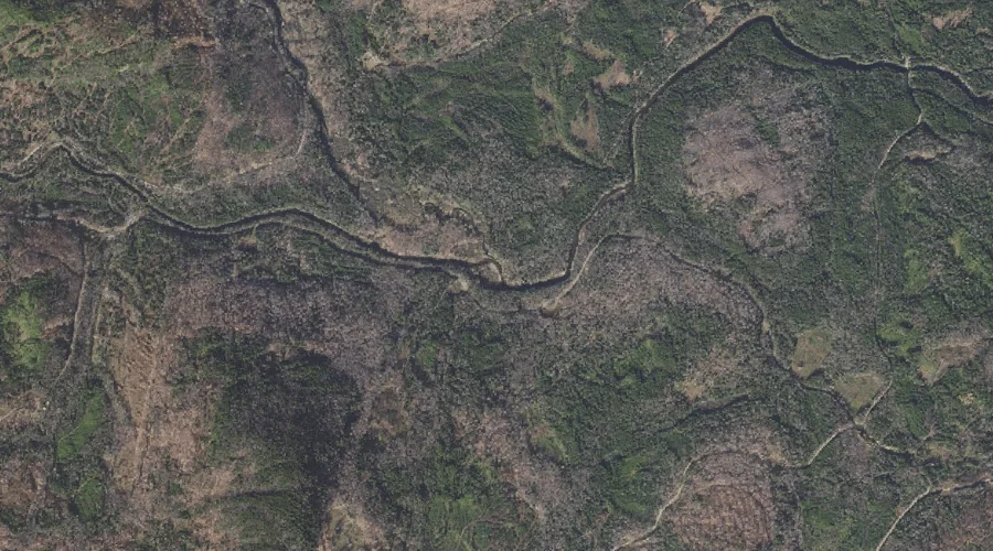 East Branch Swift Diamond River