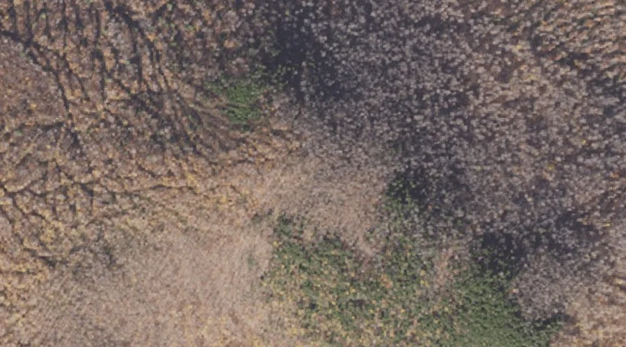 Little Cambridge Mountain