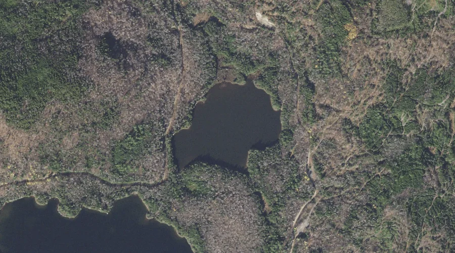 Little Greenough Pond