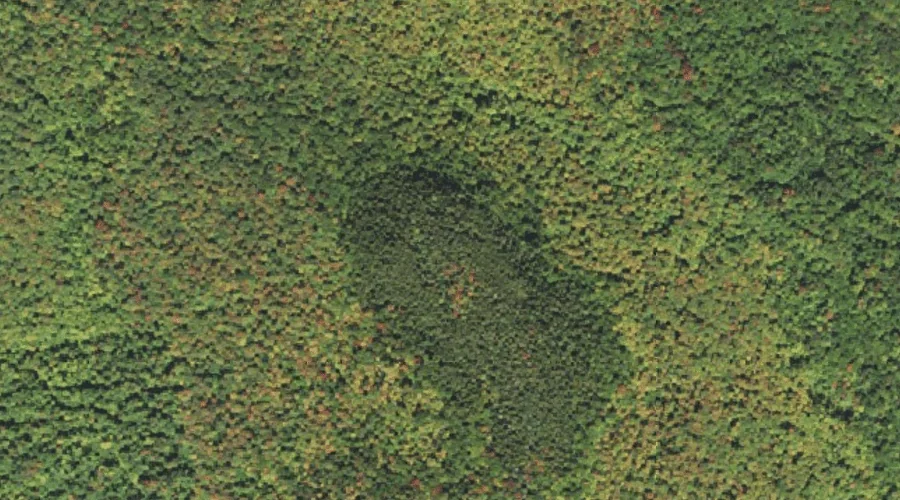 Little Mount Deception