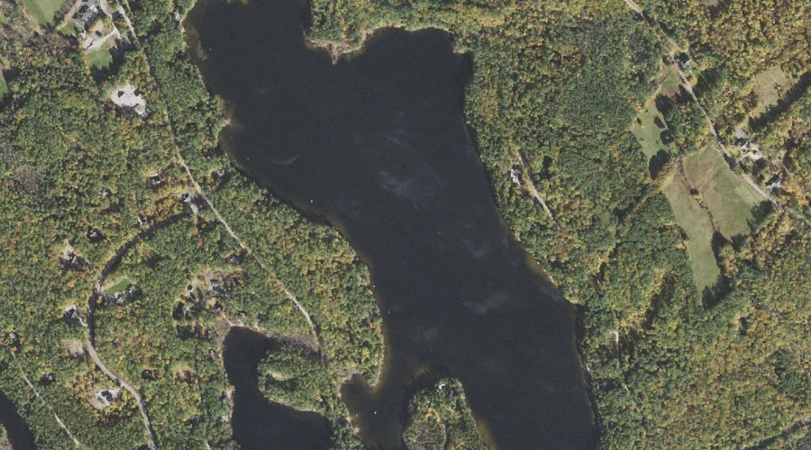 Loon Lake