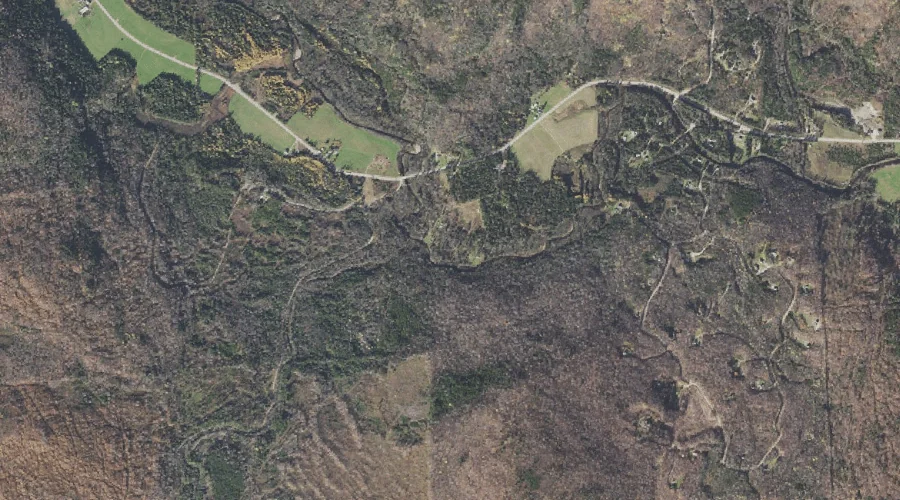 Millsfield Pond Brook