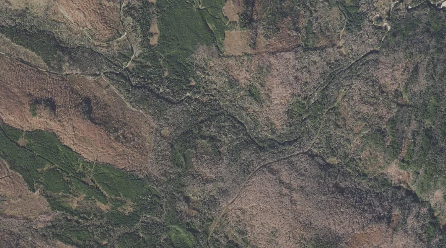 South Branch Little Dead Diamond River