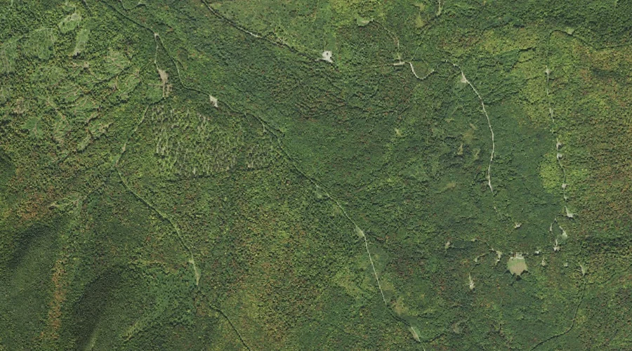 South Branch Lyman Brook