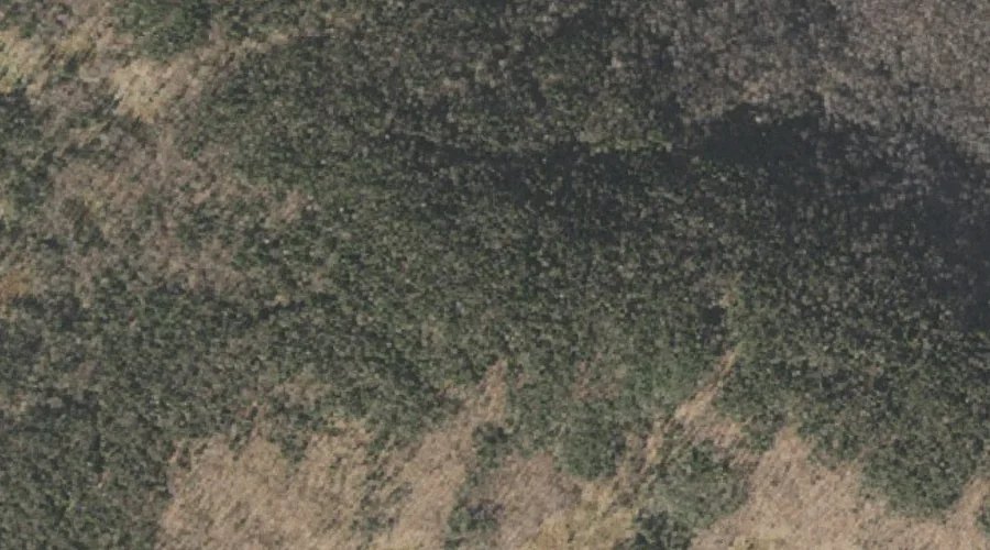 Tumble Dick Mountain