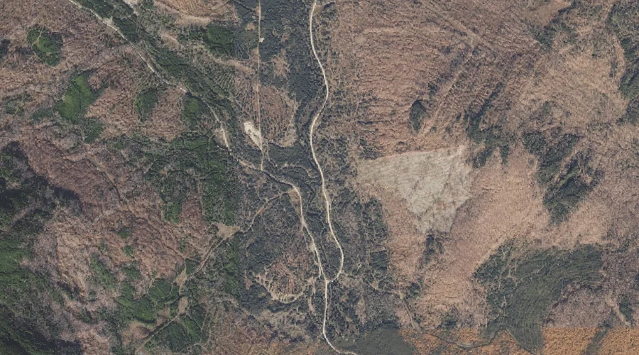 West Branch Abbott Brook