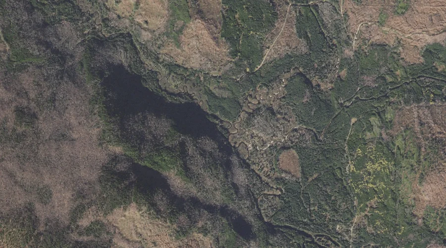 West Branch Dead Diamond