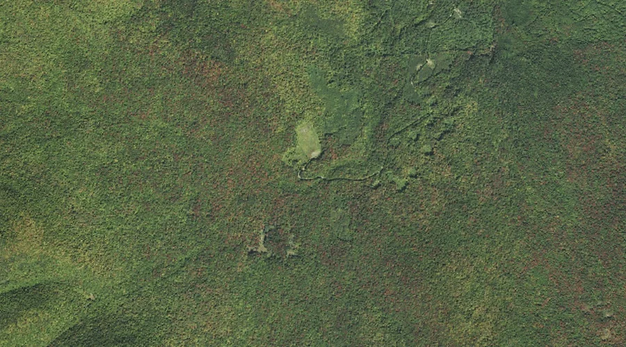 West Branch Mill Brook