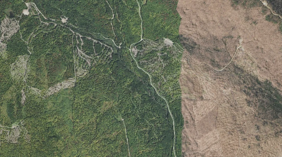 West Branch Phillips Brook