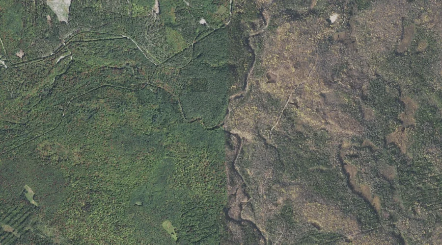 West Branch Upper Ammonoosuc River