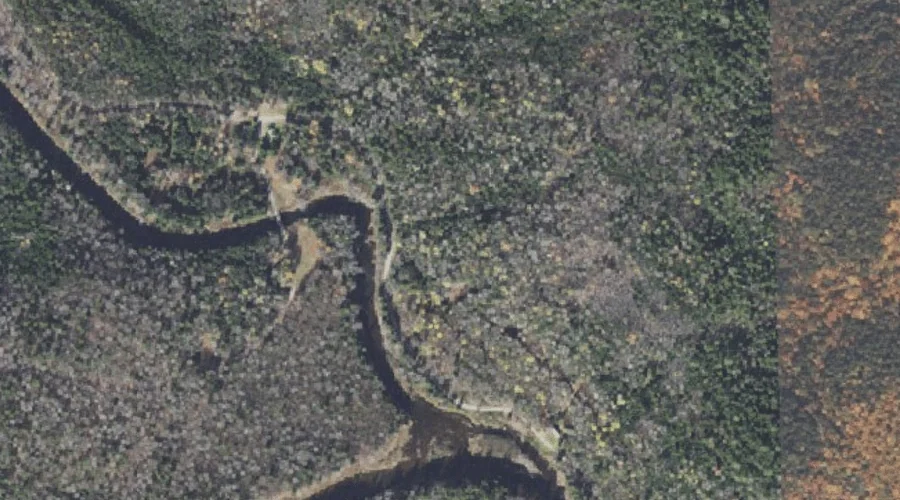 Dart Wentworth Spring