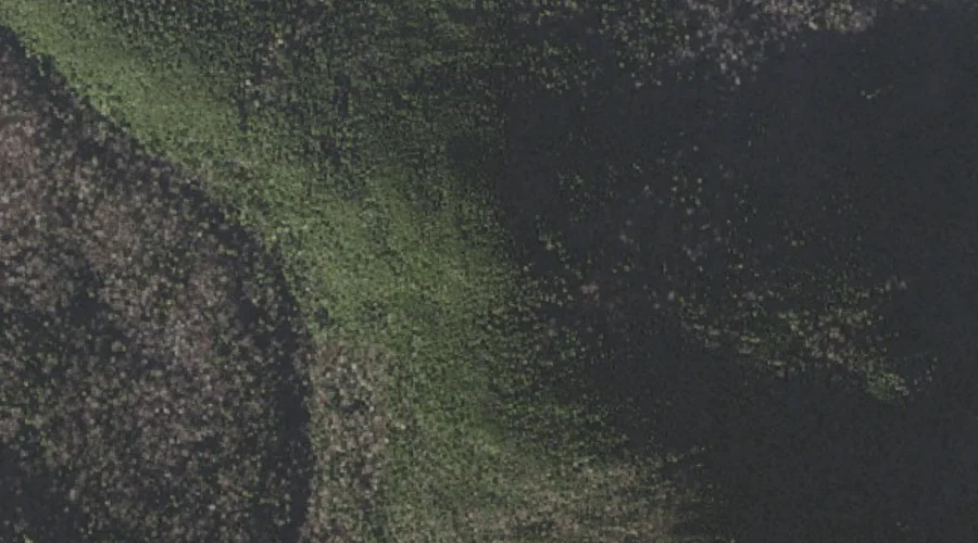 Blue Berry Ledge Bench