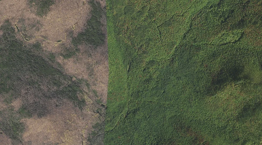 East Fork East Branch Saco River