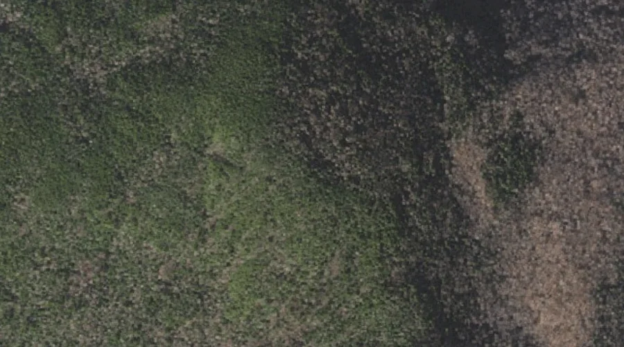 Little Wildcat Mountain