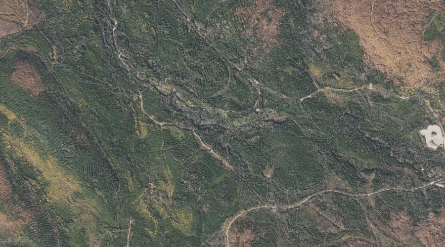 North Branch Horne Brook