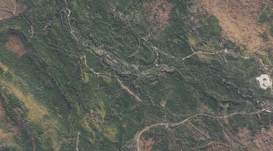 South Branch Horne Brook