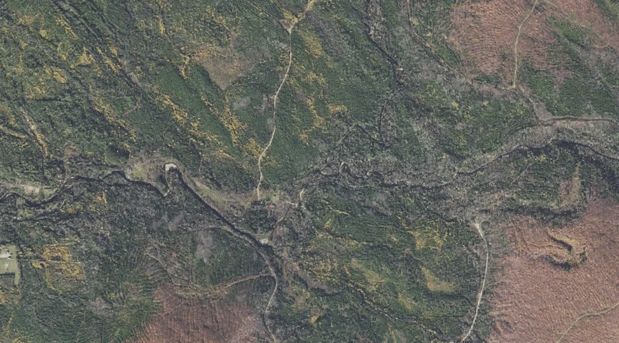 South Branch Stearns Brook